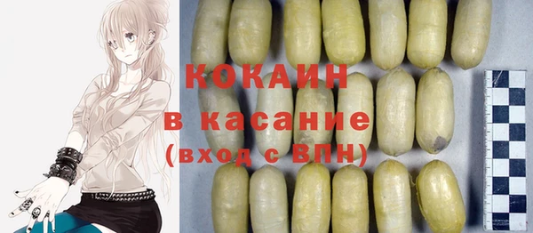 гашик Алексеевка
