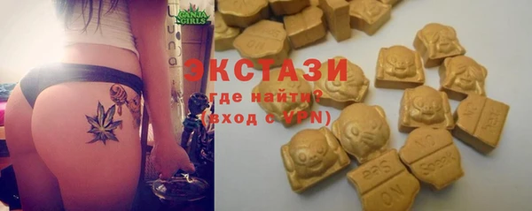 гашик Алексеевка