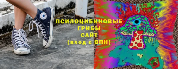 гашик Алексеевка