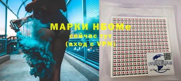 гашик Алексеевка