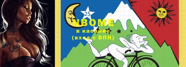 гашик Алексеевка