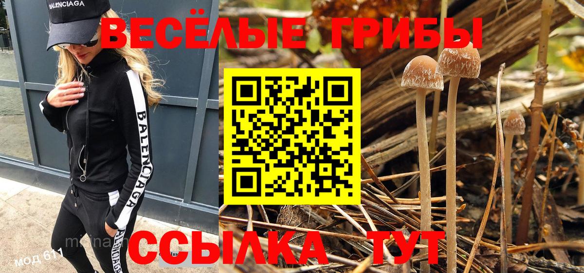 Галлюциногенные грибы GOLDEN TEACHER  закладка  Мытищи  Вход с VPN 