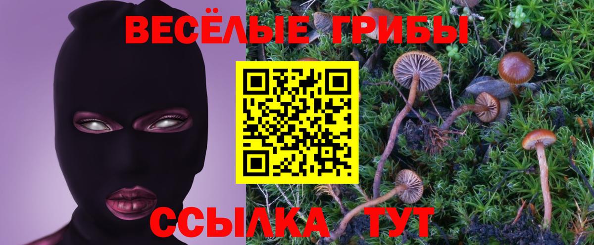 Псилоцибиновые грибы мухоморы Мытищи